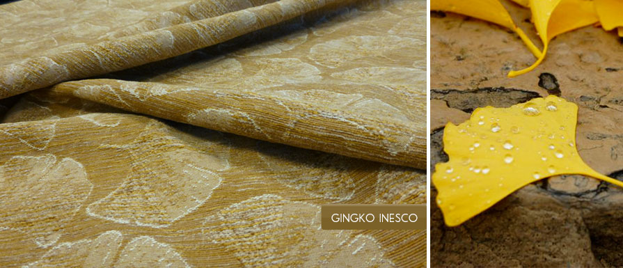 Gingko Inesco